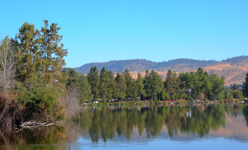 [Shoreline edged with evergreens all of which are reflected in the lake water. Light-colored, tree lined mountains can be seen just behind the trees.]